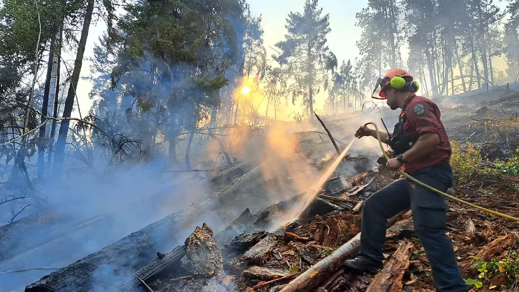 Kanada kämpft gegen Waldbrände in British Columbia