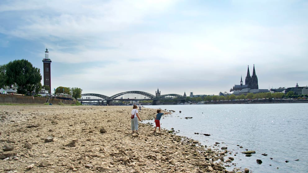 Dürre von 1949 am Rhein: Historische Aufnahmen im Fokus