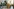 Bundeswehr versucht junge Menschen mit Social-Media-Trend anzusprechen