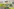 Bestatter Luis Bauer: Einblick in seinen Beruf und Erfolg auf TikTok
