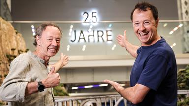 Miniatur Wunderland feiert 25-jähriges Jubiläum