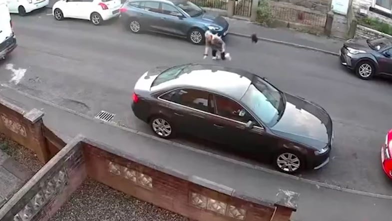 Angriff ohne Vorwarnung: Aggressive Krähe in Burnley