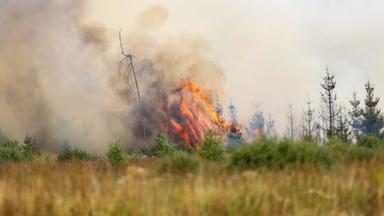 Waldbrände in Hochmoor und Sumpfgebiet Hohe Venn sowie Deutschland