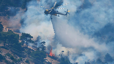 Waldbrände in Europa und Amerika: Entwicklungen und Maßnahmen