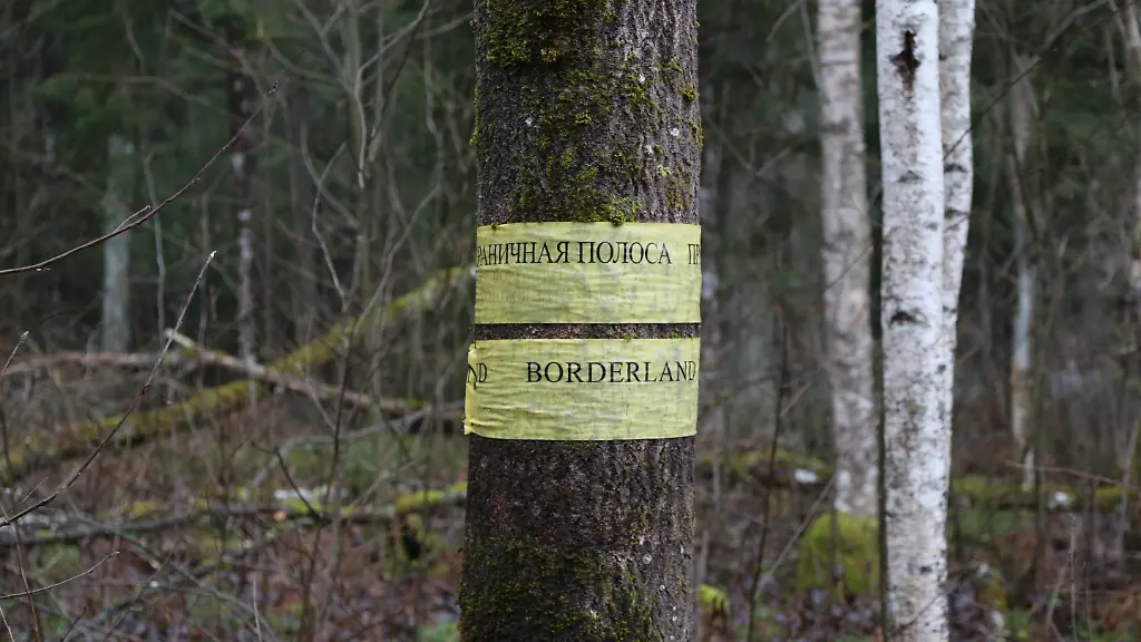 Lettische Behörden beschuldigen Belarus: Tunnel für Migranten an der Grenze entdeckt