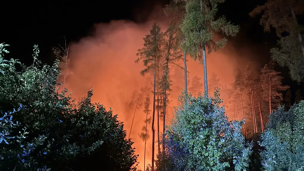 Großer Waldbrand im sächsischen Vogtlandkreis: 120 Feuerwehrleute im Einsatz