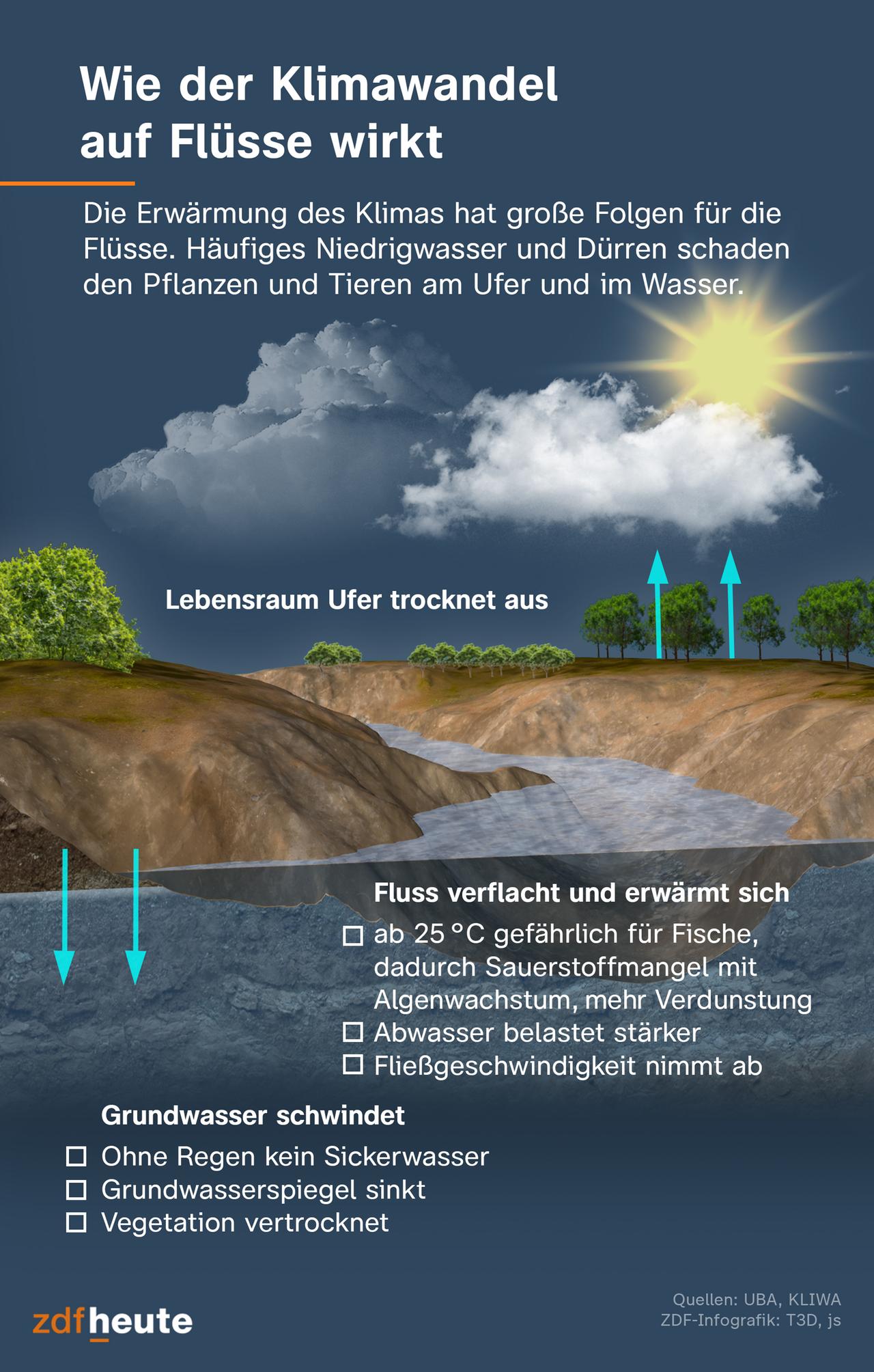 Wirtschaftliche Folgen der Niedrigwasserlage