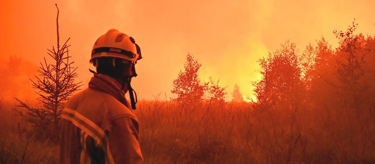 Erhöhte Waldbrandgefahr in Europa durch den Klimawandel