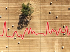 Evakuierung wegen Waldbrand im Hohen Venn und weitere Brände in Europa