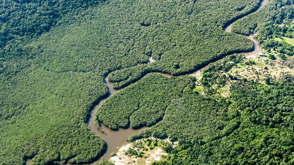 Brasiliens Erfolg bei der Reduzierung der Entwaldung