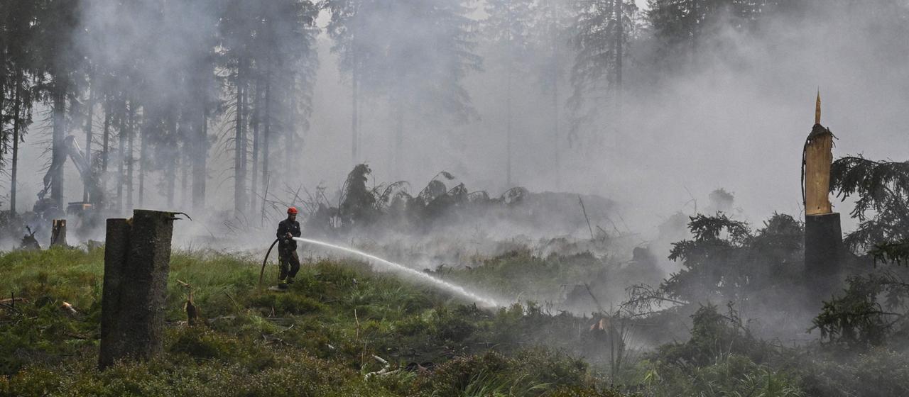 Waldbrand im Hohen Venn: Hoffnung durch Regen