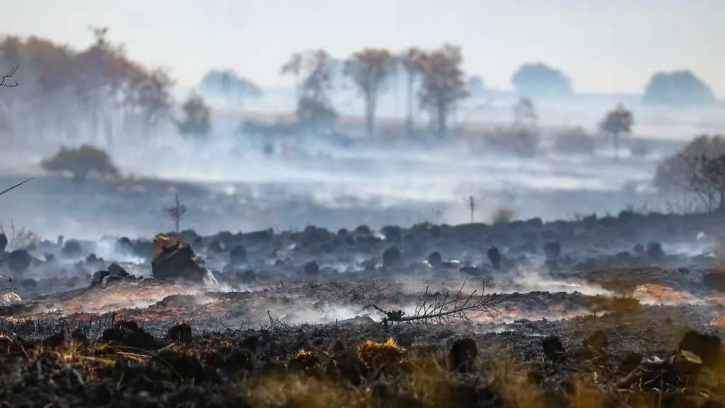 Waldbrände: Menschliche Ursachen überwiegen