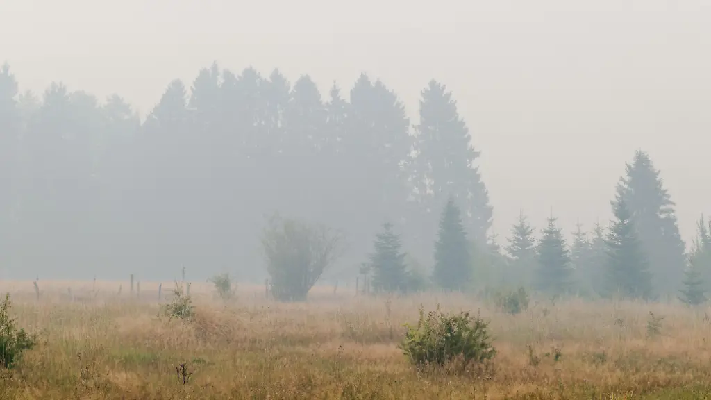 Belgien kämpft gegen einen massiven Waldbrand