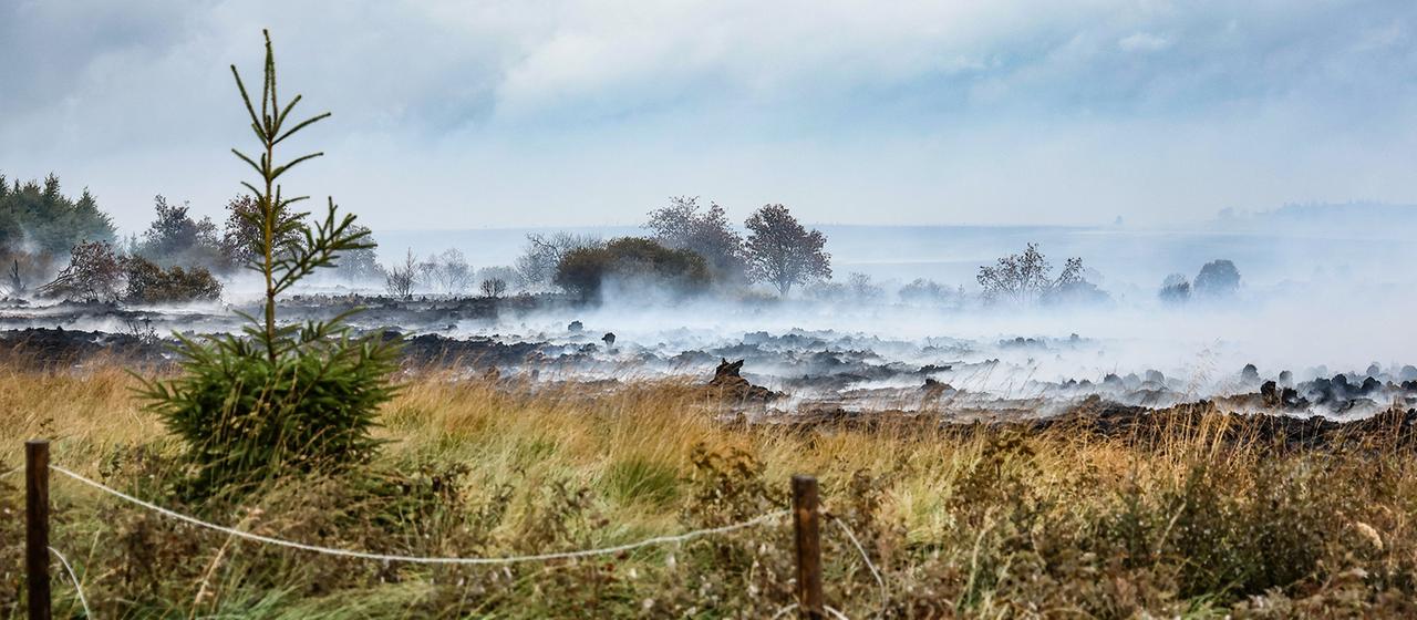 Feuer im Hohen Venn: Evakuierte kehren zurück