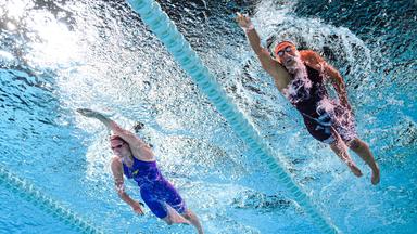 Schwimm-Europameisterschaften in Paris: Zeitplan und Livestream-Informationen