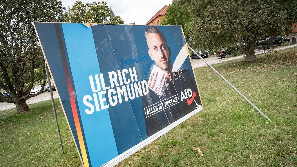 BSW erwägt Zusammenarbeit mit AfD in Sachsen-Anhalt