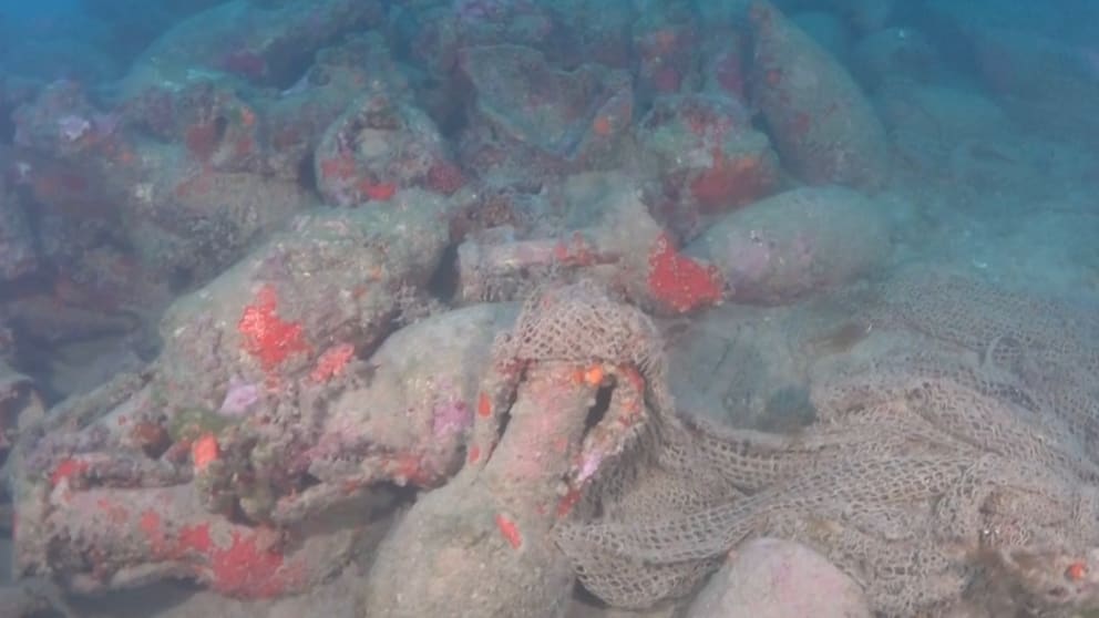 Taucher entdecken 2100 Jahre altes Schiffswrack vor Sizilien