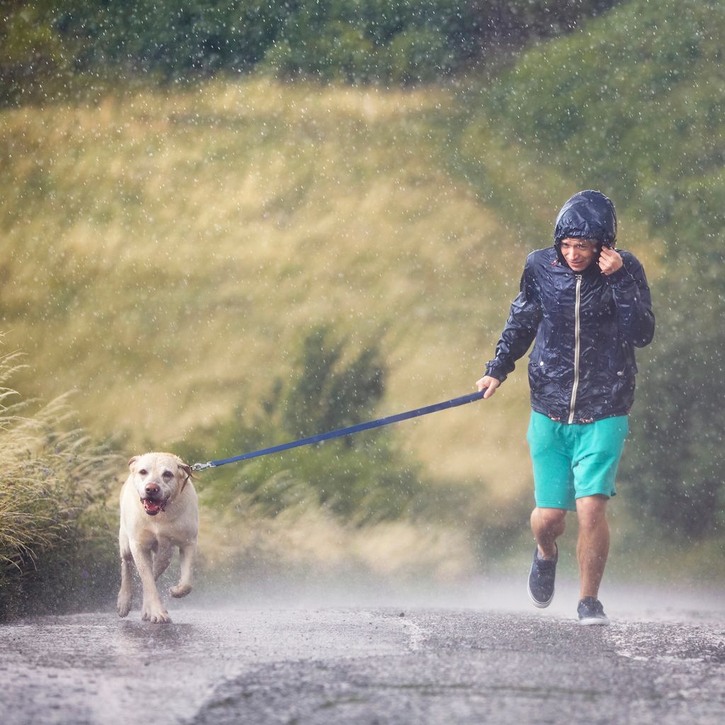 Wie Hunde die Fitness verbessern können