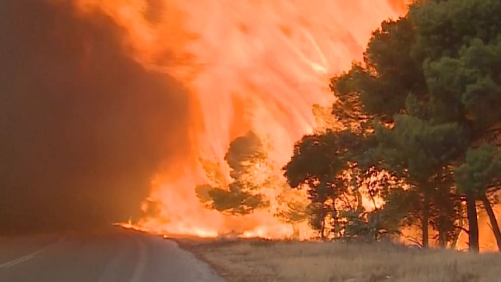 Griechenland kämpft gegen anhaltende Waldbrände