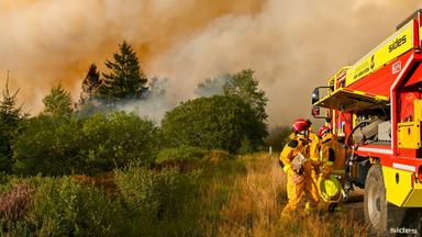 Großbrand im Hohen Venn: Lage, Maßnahmen und Herausforderungen