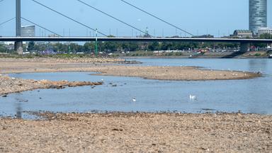 Auswirkungen des Niedrigwassers auf die Benzinpreise am Rhein