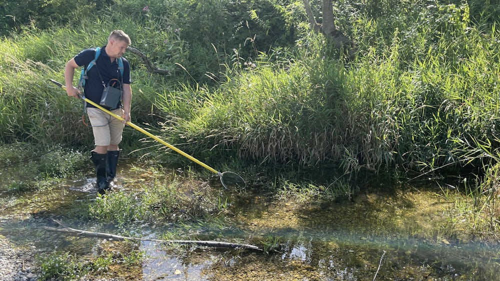 Die Auswirkungen von Trockenheit auf Fische in Bayern