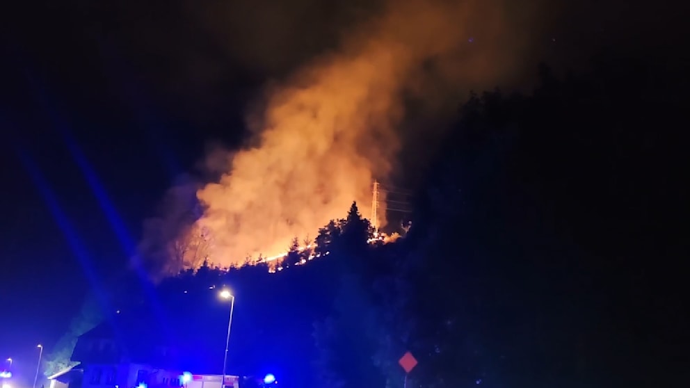 Schwarzwald in Flammen: Evakuierung nach Waldbrand in Gengenbach-Schwaibach