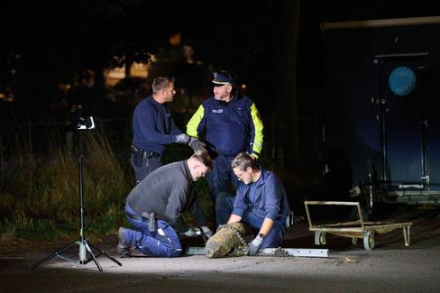 Ungewöhnliche Entdeckungen bei der Ernte und Bombenentschärfung in Berlin