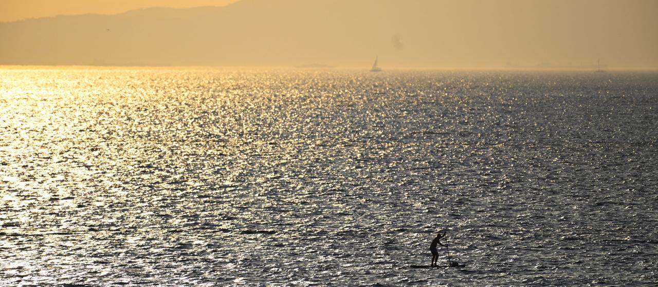 Rekordtemperaturen der Weltmeere alarmieren Experten