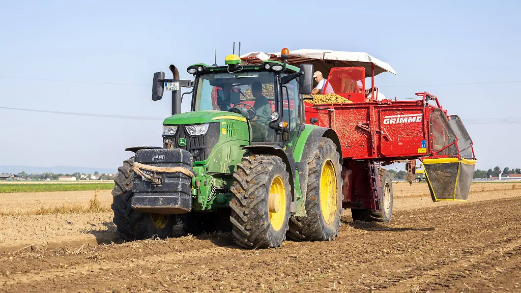 Schwache Kartoffelernte in Deutschland erwartet
