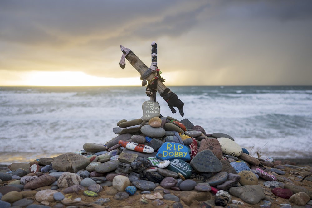 Wie Fans das Dobby-Denkmal schützten und ein Großprojekt veränderten