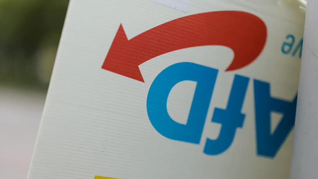 Pistorius und Özdemir fordern Verbotsverfahren gegen AfD