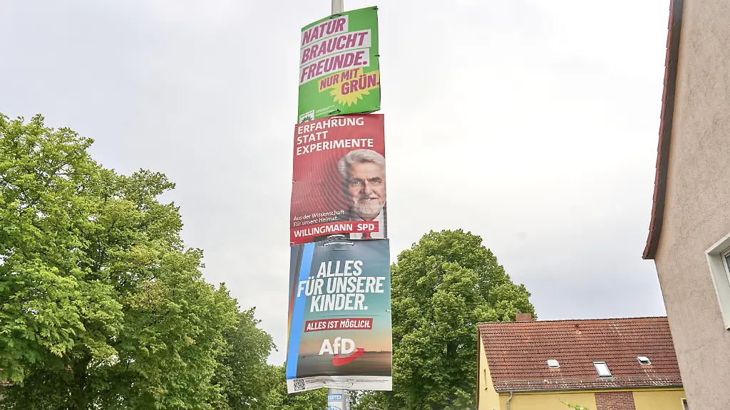 AfD in Sachsen-Anhalt steigert Umfragewerte
