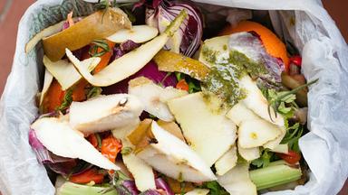 Wie umweltfreundlich sind biologisch abbaubare Verpackungen?