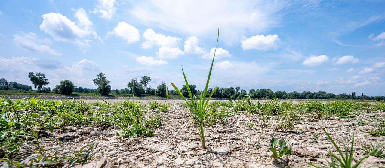 Neue Perspektiven im Wassermanagement: Herausforderungen und Lösungen