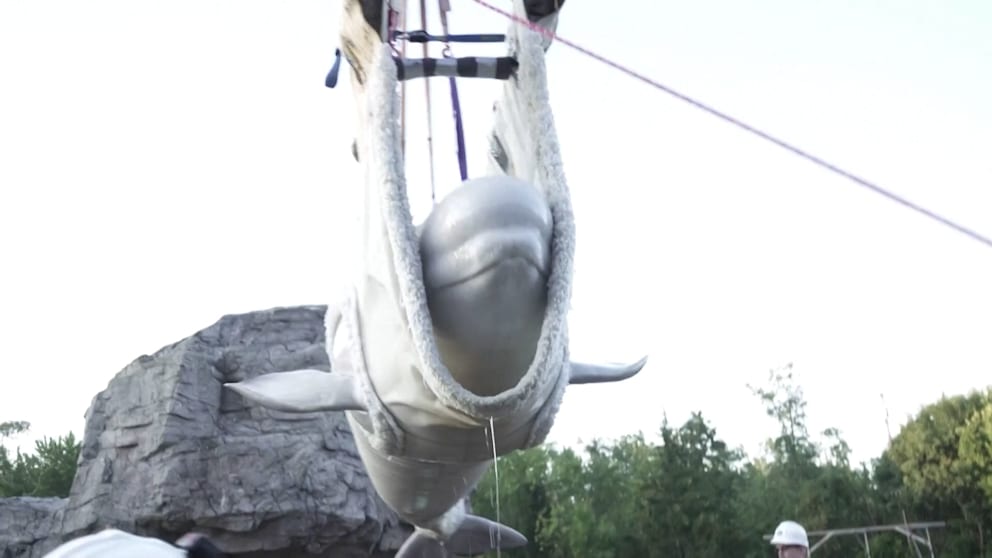 Spanien, wir kommen!: Sonderflug für gerettete Beluga-Wale