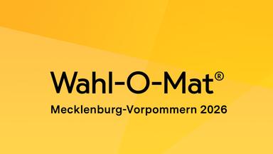 Wahlkampf in Mecklenburg-Vorpommern: Herausforderungen und Parteien