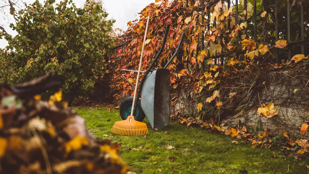 Gartenarbeit im September: Welche Aufgaben vor dem Herbst anstehen
