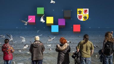 Landtagswahl in Mecklenburg-Vorpommern: AfD ist stärkste Kraft