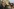 Ghost School prangert Korruption an
