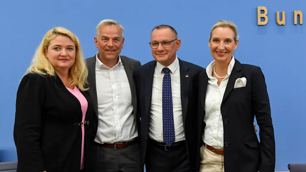 AfD sieht Neuwahlen und kritisiert CDU
