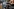 Actionthriller „Runner“: Nostalgie trifft Adrenalin