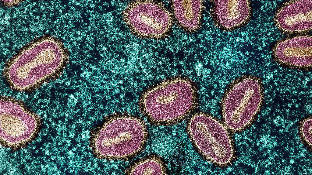 Spermien können Mpox-Infektionen begünstigen