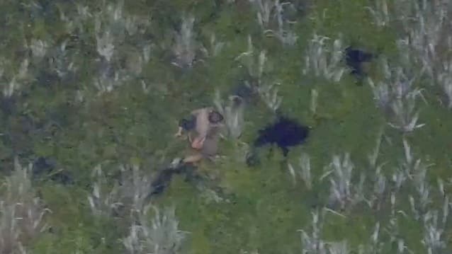 Betrunkener Vater flieht nach Unfall in Florida