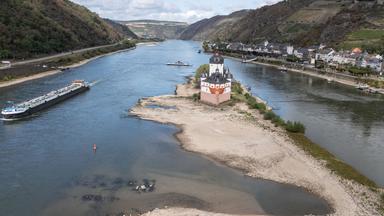 Niedrigwasser im Rhein belastet die Wirtschaft