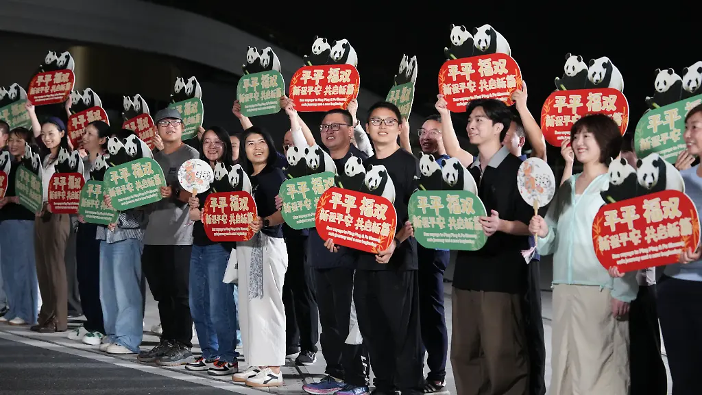 Chinas Panda-Diplomatie: Ping Ping und Fu Shuang reisen in die USA