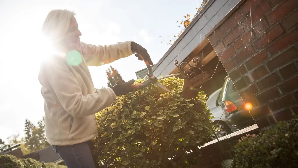 Garten winterfest machen: Effiziente Herbstpflege