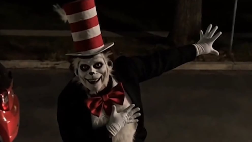 Polizei warnt vor TikTok-Trend ‚Cat in the Hat‘