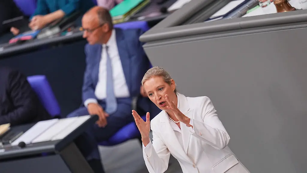 AfD-Chefin Weidel fordert Neuwahlen als Lösung der Koalitionskrise
