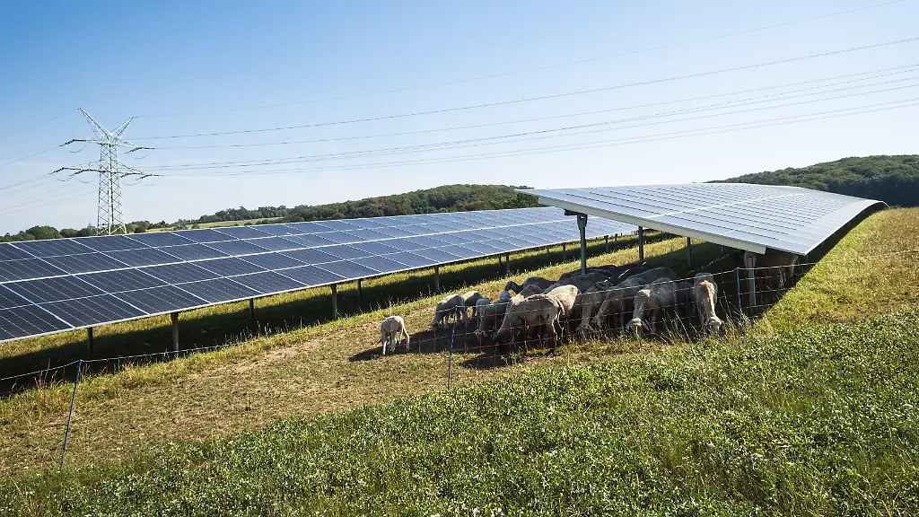 Solarenergie in Deutschland erreicht neuen Rekord